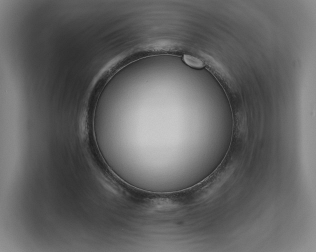 X0000111440392200907201133