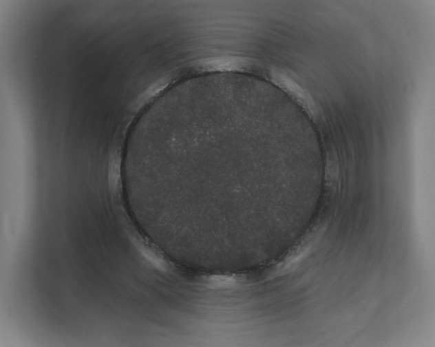 X0000111440394200907201133