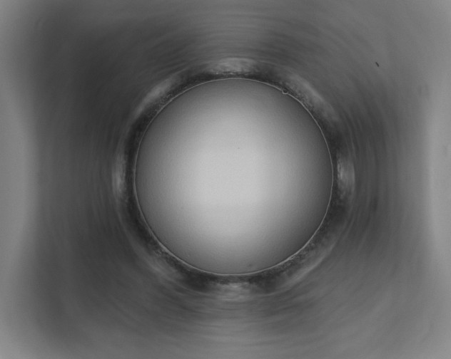 X0000111440396200907201133