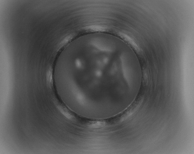 X0000111440398200907201133