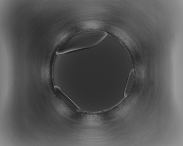 X0000111440399200907201133