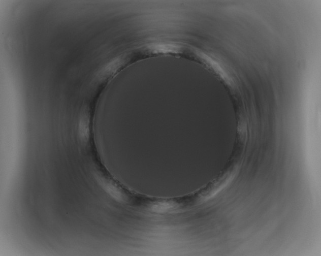 X0000111440402200907201133