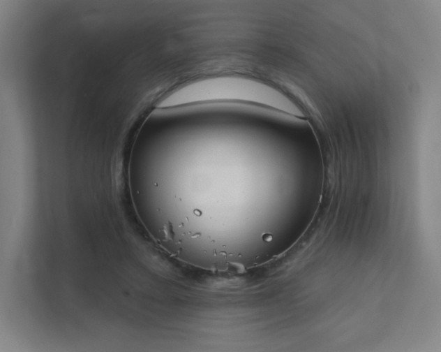 X0000111440403200907201133