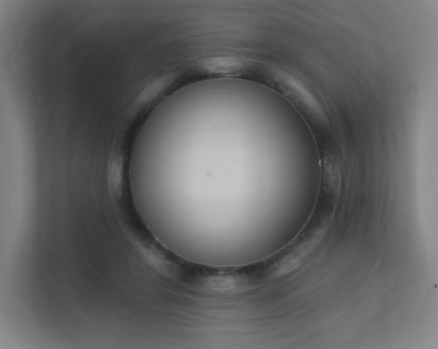 X0000111440404200907201133