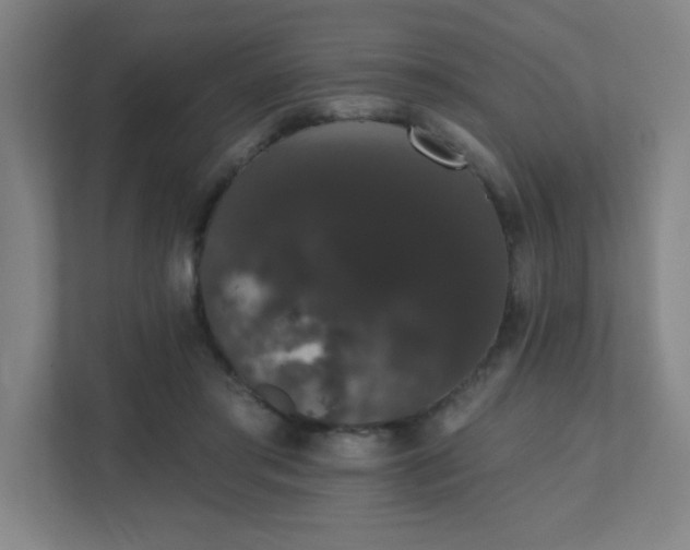 X0000111440405200907201133