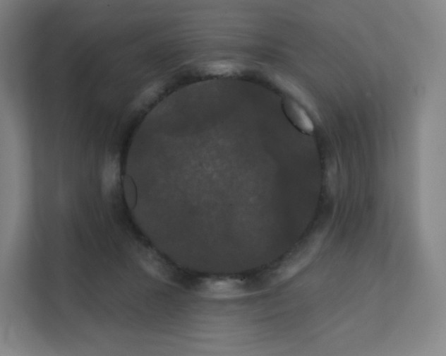 X0000111440407200907201133