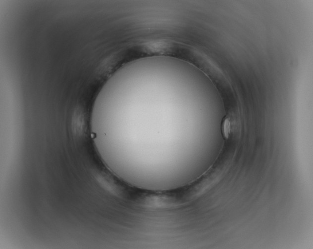 X0000111440408200907201133