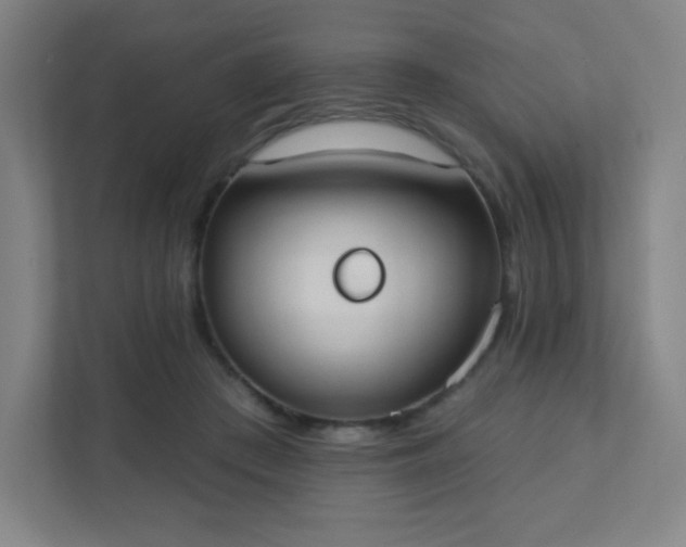 X0000111440409200907201133