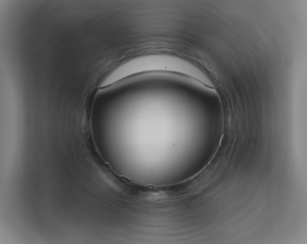 X0000111440411200907201133