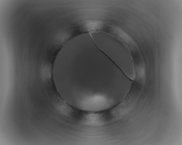 X0000111440413200907201133