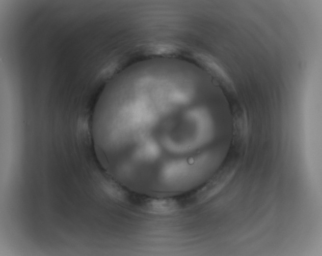 X0000111440415200907201132