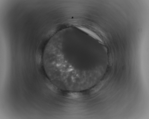 X0000111440417200907201132