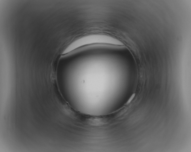 X0000111440419200907201132