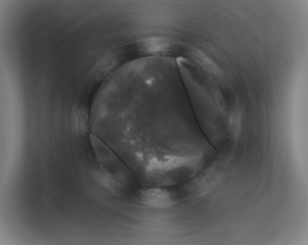 X0000111440421200907201132