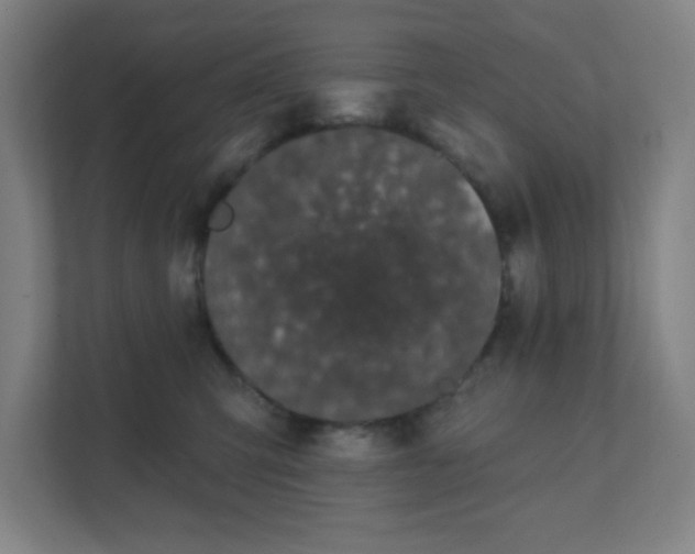 X0000111440423200907201132