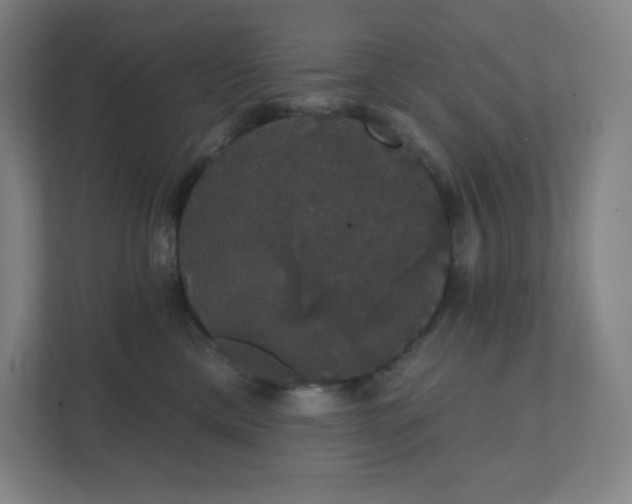 X0000111440425200907201132