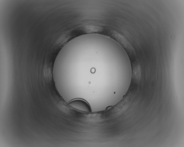 X0000111440426200907201132