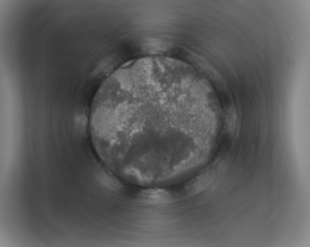 X0000111440427200907201132