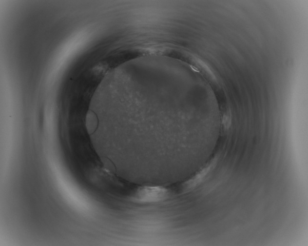 X0000111440429200907201132