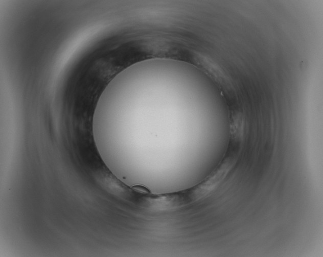 X0000111440430200907201132