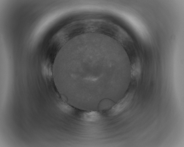 X0000111440431200907201132