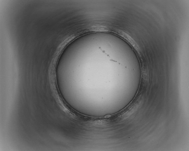 X0000111440433200907201132