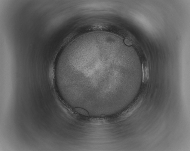 X0000111440435200907201132