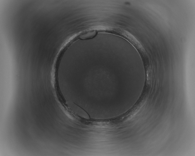 X0000111440436200907201132