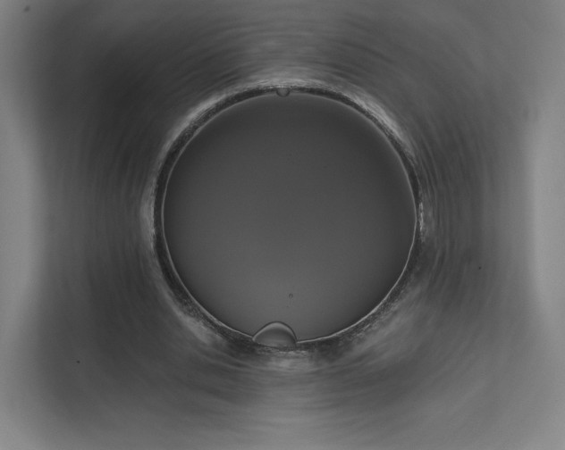 X0000111440438200907201132