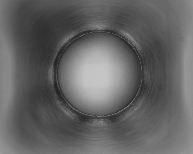 X0000111440439200907201132