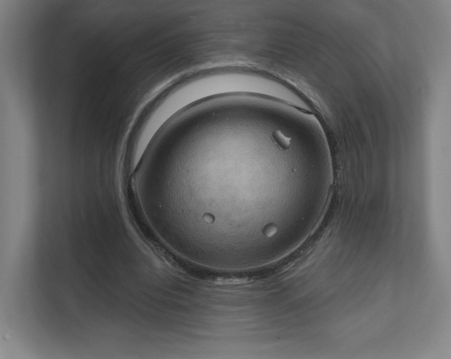 X0000111440440200907201132