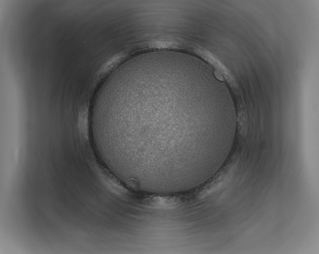 X0000111440442200907201132