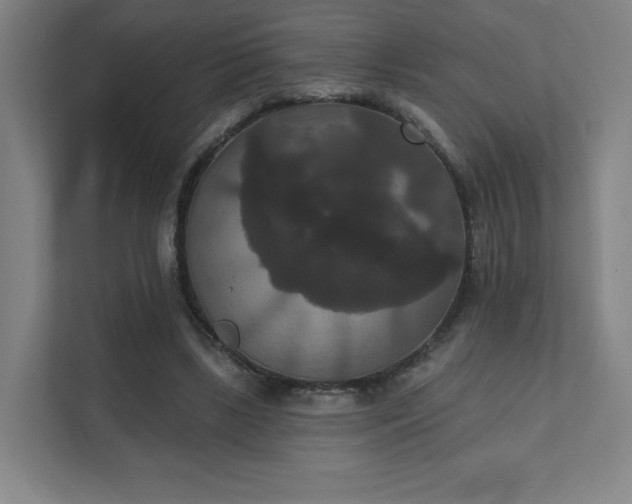 X0000111440443200907201132