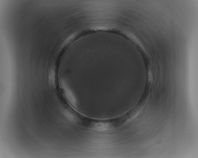 X0000111440444200907201132