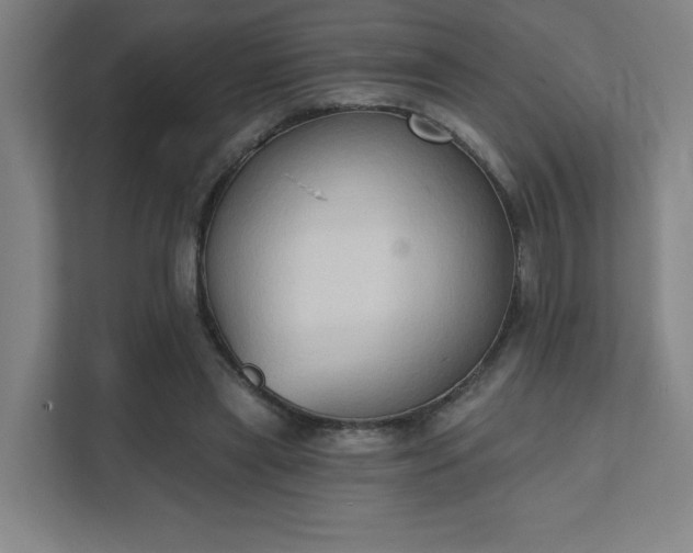 X0000111440445200907201132