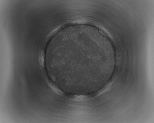 X0000111440446200907201132