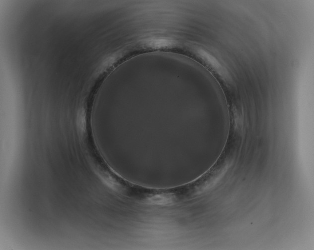 X0000111440447200907201132