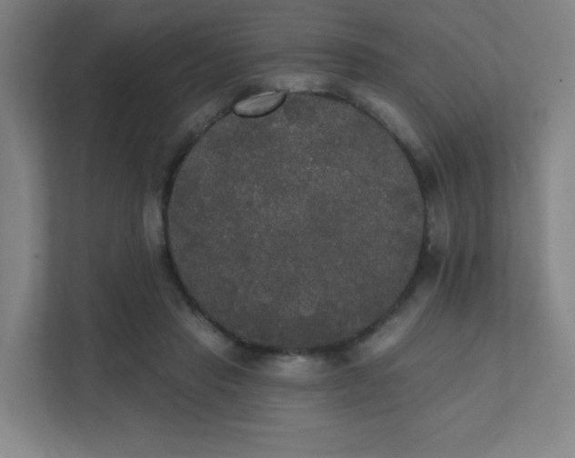 X0000111440453200907201132