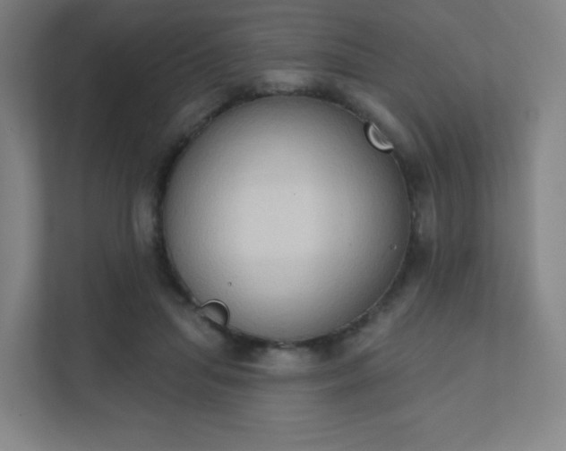 X0000111440455200907201132