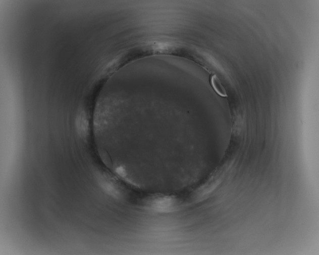 X0000111440456200907201132