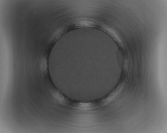 X0000111440457200907201132