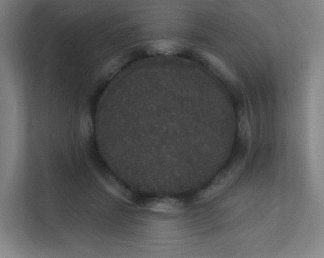 X0000111440459200907201132