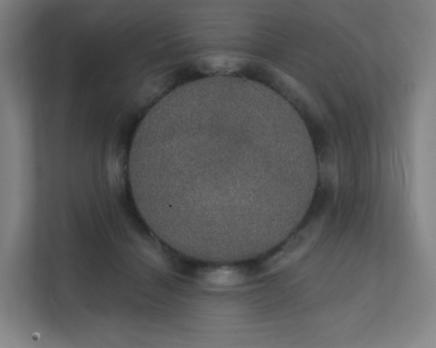 X0000111440460200907201132