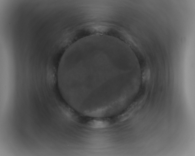 X0000111440464200907201132