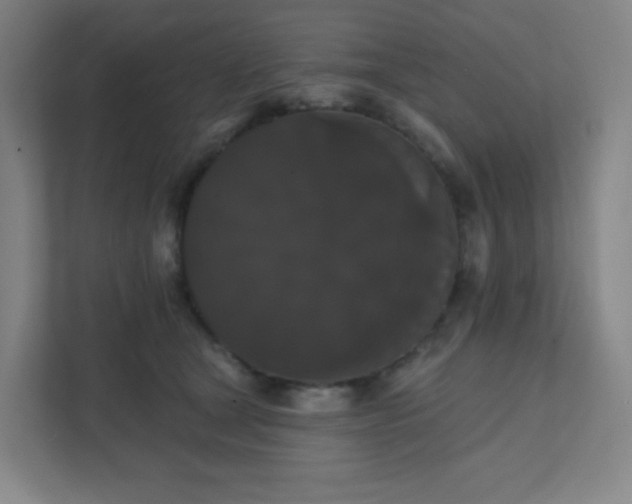 X0000111440465200907201132