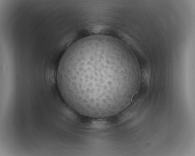 X0000111440470200907201132