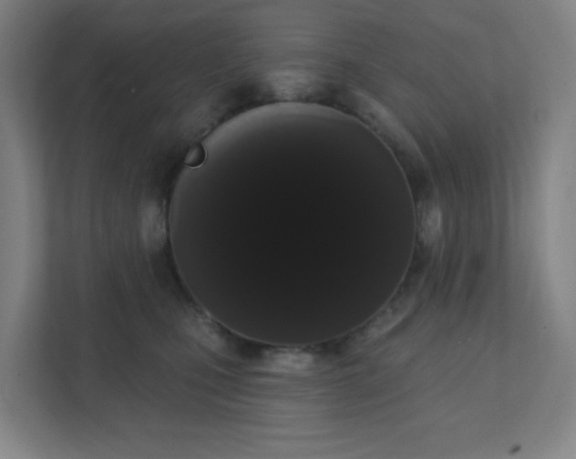 X0000111440471200907201132