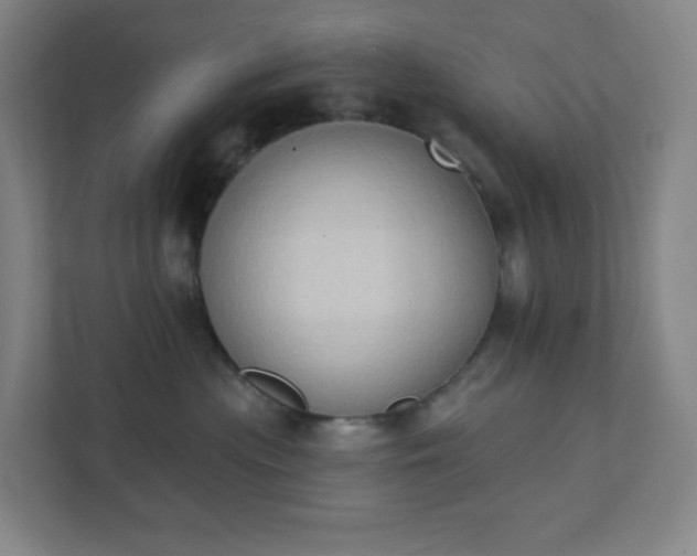 X0000111440477200907201132