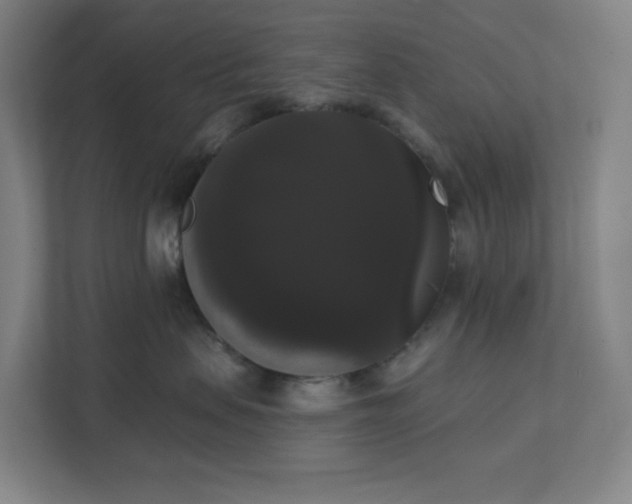 X0000111440479200907201132