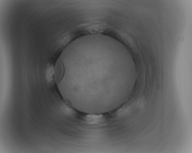 X0000111440480200907201132